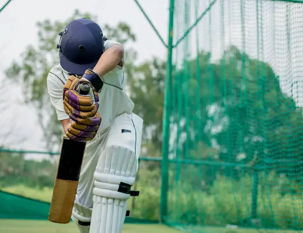 Cricket Pitch